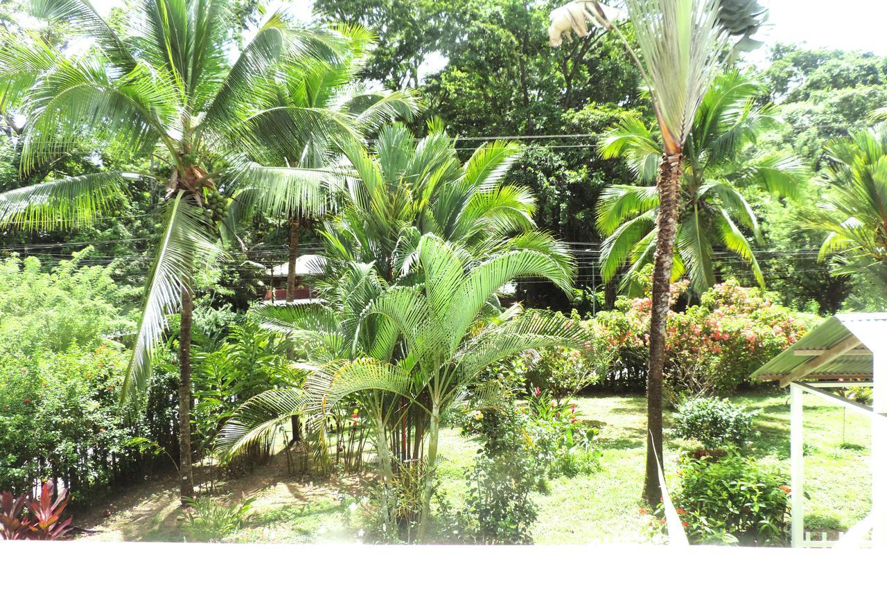 Rosa Lodge Cahuita Extérieur photo